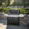 Газовый гриль-барбекю Weber Summit FS38 E